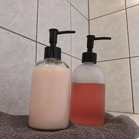 Metaxiasandmariashouse Appartamento Leonídion